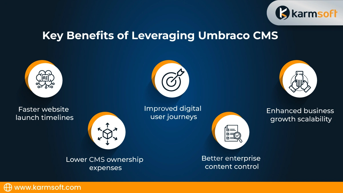umbraco development company
